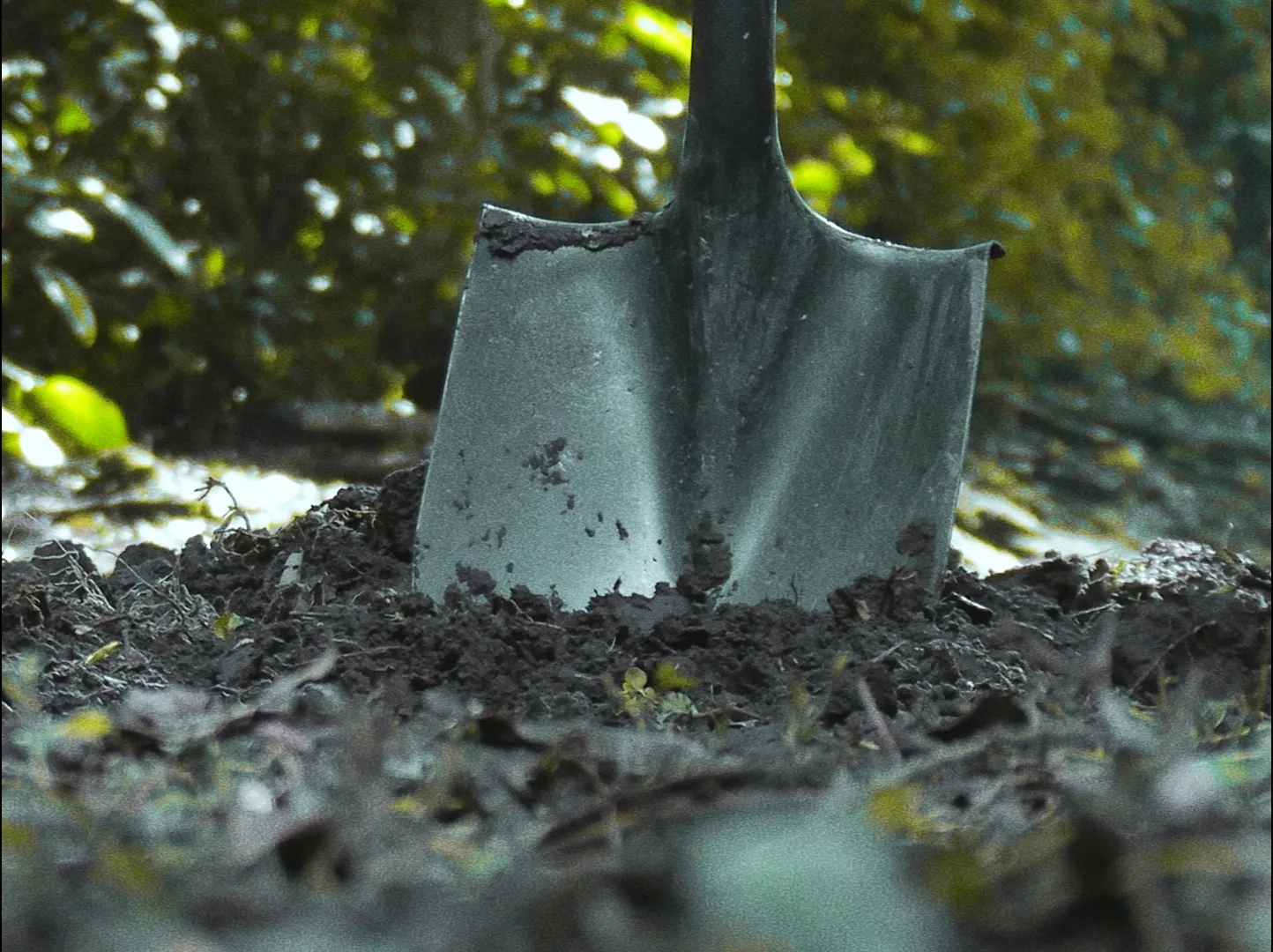 CUANTOS — still 3