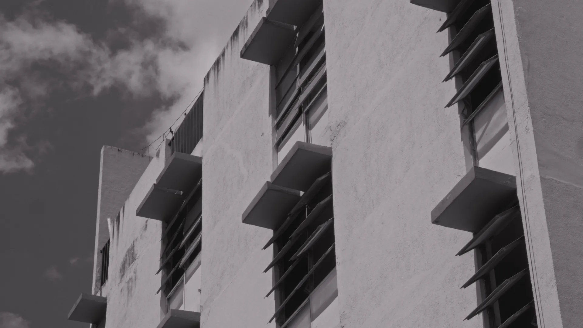 Niño de Oro - Sander — still 4