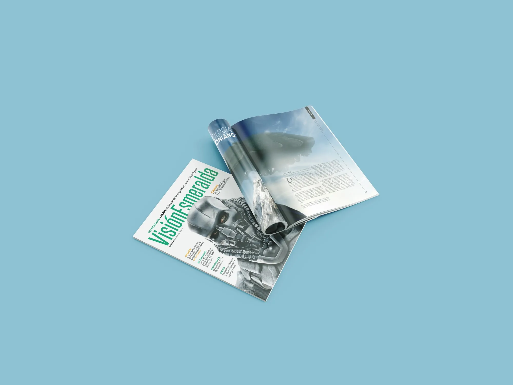 Revistas